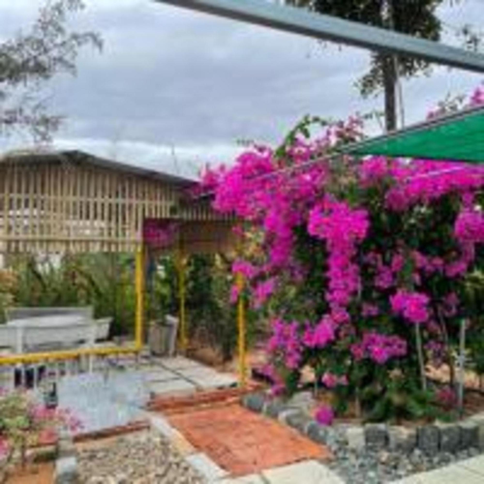 Duc Luu Quang Hotel Binh Thuan Tuy Phong Zewnętrze zdjęcie