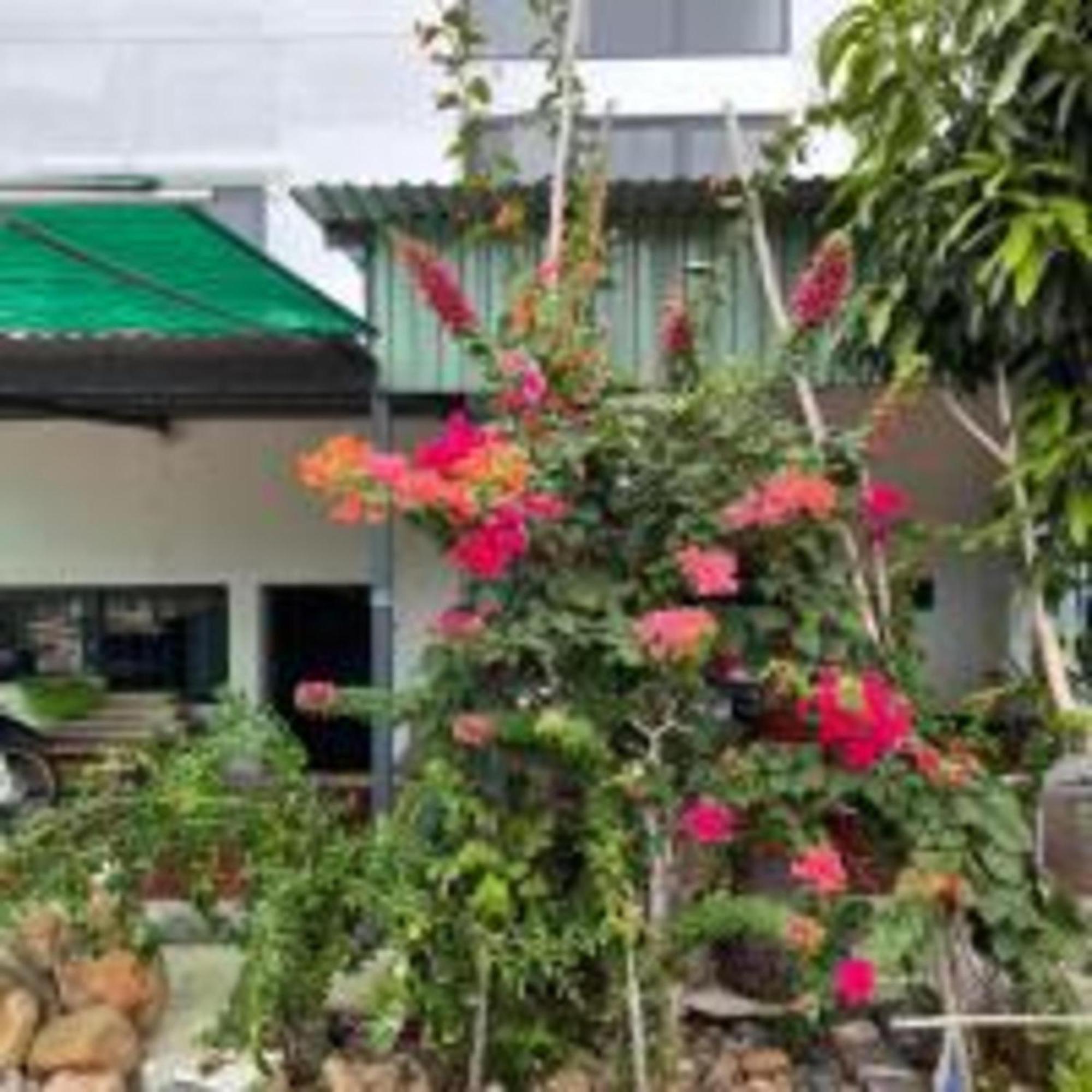 Duc Luu Quang Hotel Binh Thuan Tuy Phong Zewnętrze zdjęcie