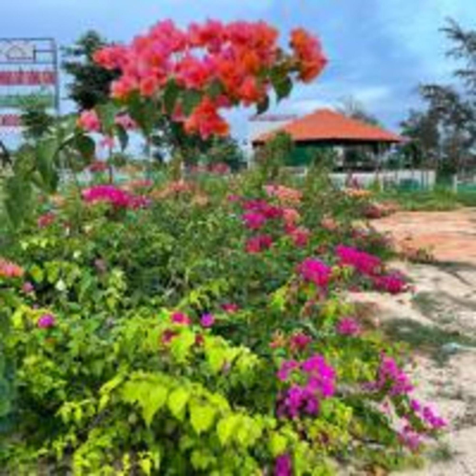 Duc Luu Quang Hotel Binh Thuan Tuy Phong Zewnętrze zdjęcie