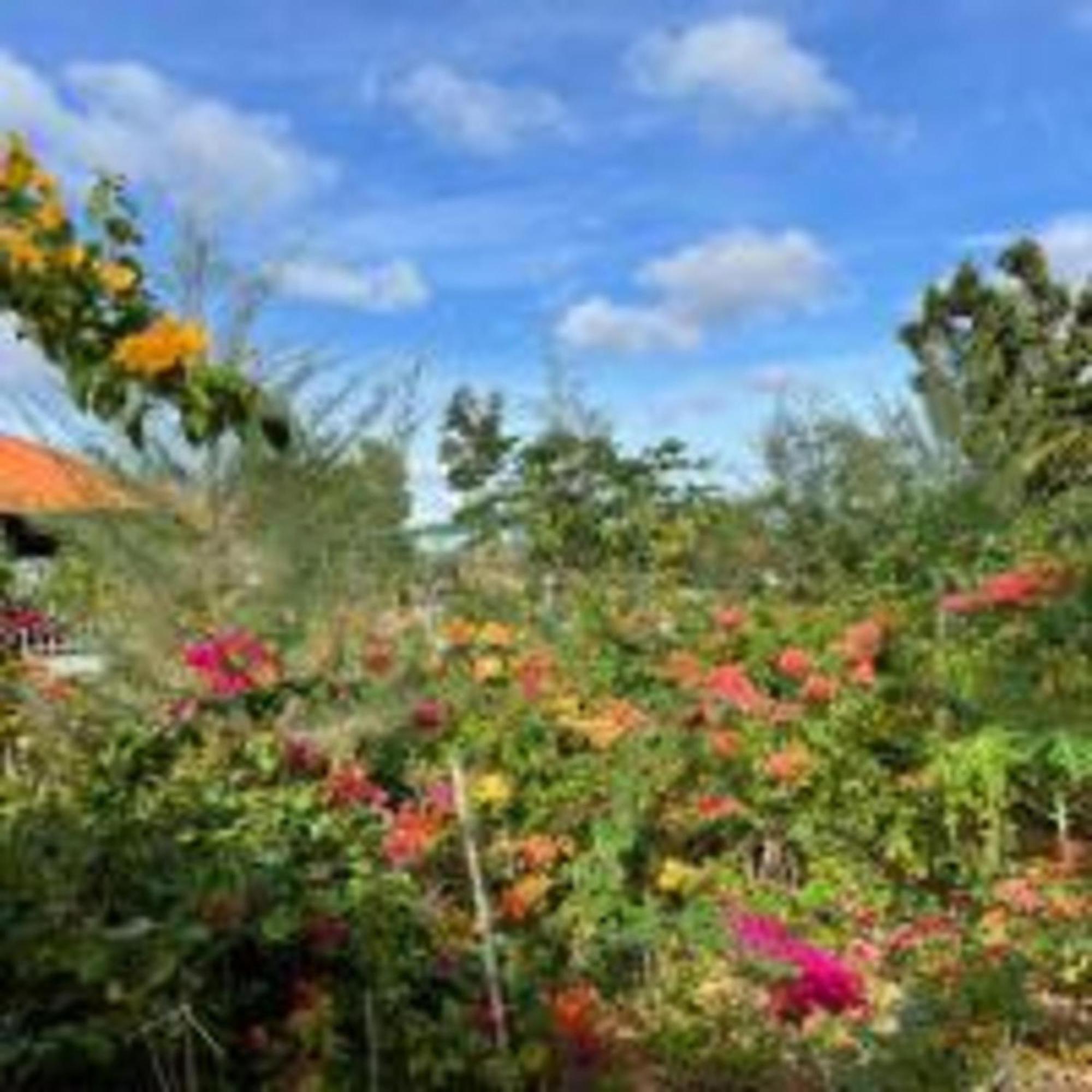 Duc Luu Quang Hotel Binh Thuan Tuy Phong Zewnętrze zdjęcie